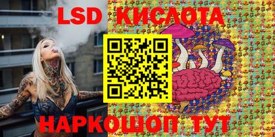 Альфа ПВП Можга