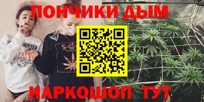 Альфа ПВП Можга