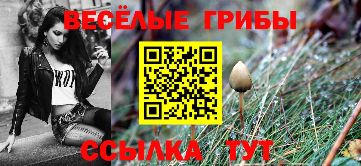 Галлюциногенные грибы MAGIC MUSHROOMS Кудрово
