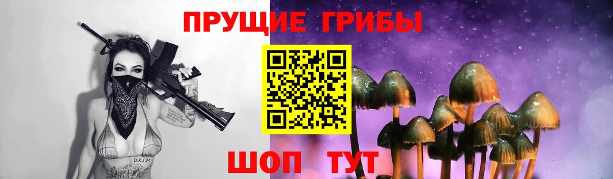 Галлюциногенные грибы Cubensis  Вход с VPN  Кудрово 